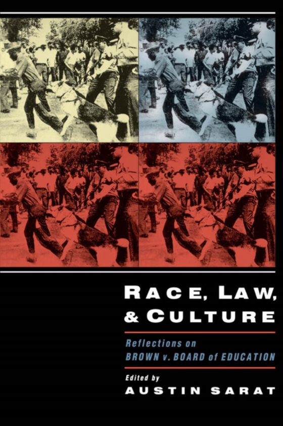 Race, Law, and Culture (e-bog) af -