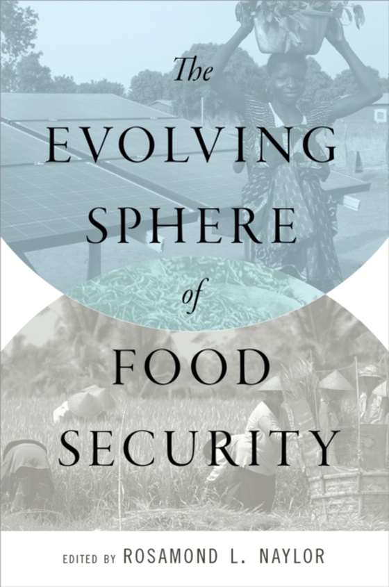 Evolving Sphere of Food Security (e-bog) af -