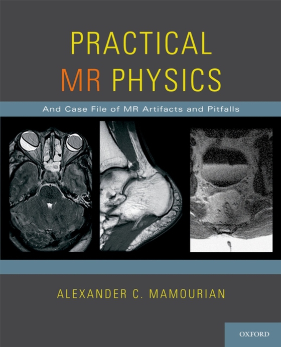 Practical MR Physics (e-bog) af Mamourian, Alexander C.