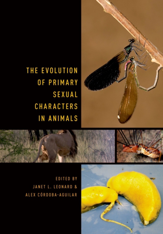 Evolution of Primary Sexual Characters in Animals