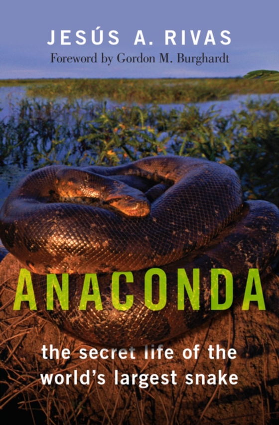 Anaconda (e-bog) af Rivas, Jesus A.