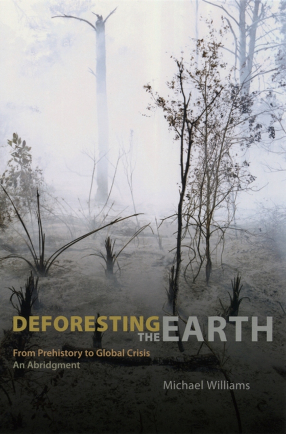 Deforesting the Earth (e-bog) af Michael Williams, Williams