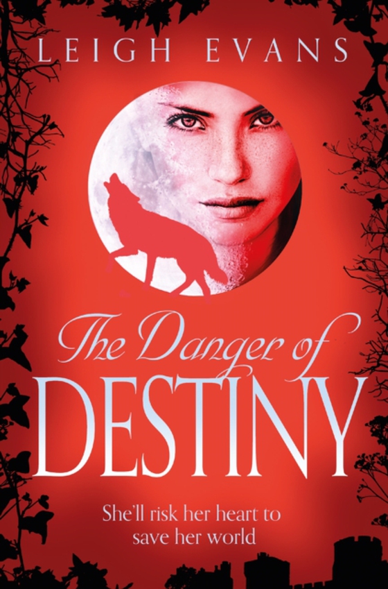 Danger of Destiny (e-bog) af Evans, Leigh