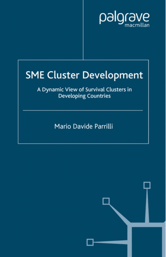 SME Cluster Development (e-bog) af Parrilli, M.