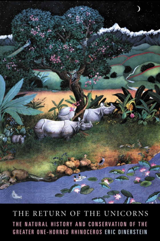 Return of the Unicorns (e-bog) af Dinerstein, Eric