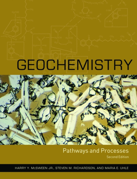 Geochemistry (e-bog) af Uhle, Maria