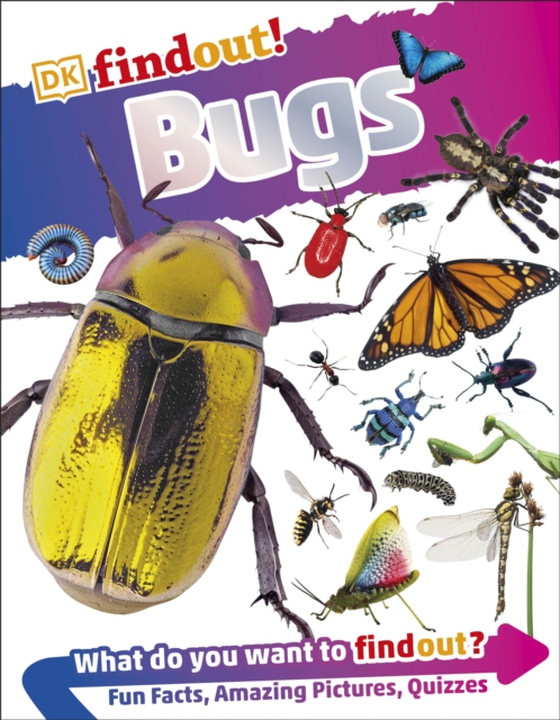 DKfindout! Bugs (e-bog) af DK