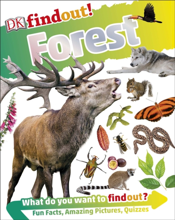 DKfindout! Forest (e-bog) af DK