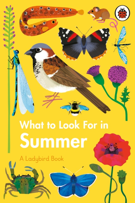 What to Look For in Summer (e-bog) af Jenner, Elizabeth