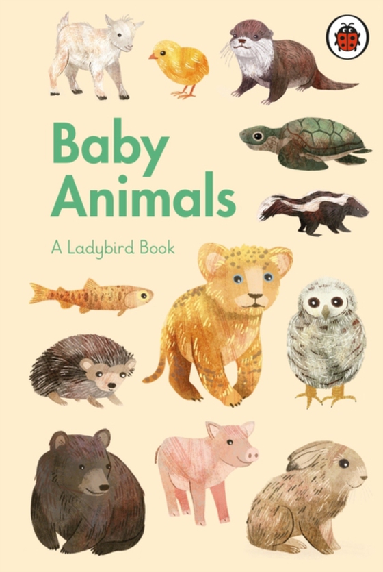 Ladybird Book: Baby Animals (e-bog) af -