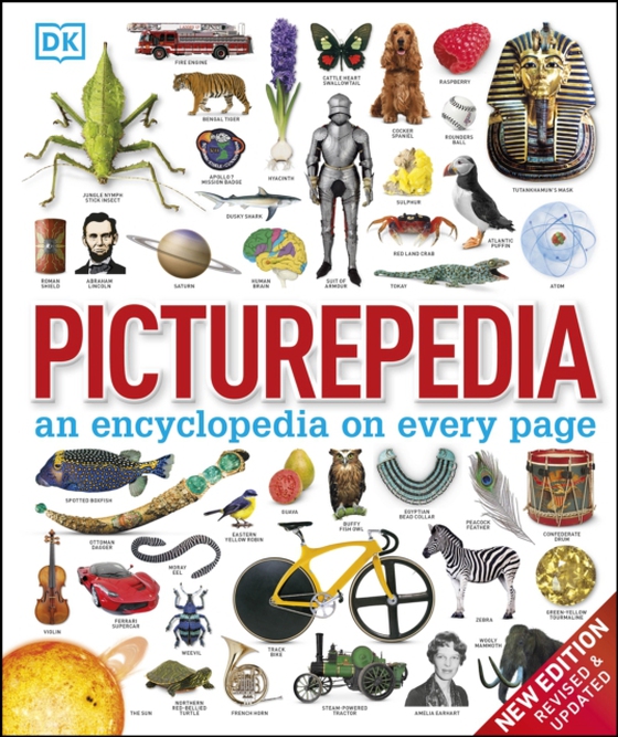 Picturepedia (e-bog) af DK