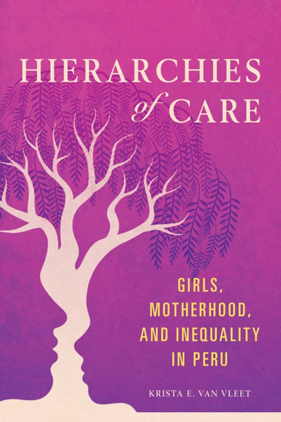 Hierarchies of Care (e-bog) af Krista E Van Vleet, Van Vleet