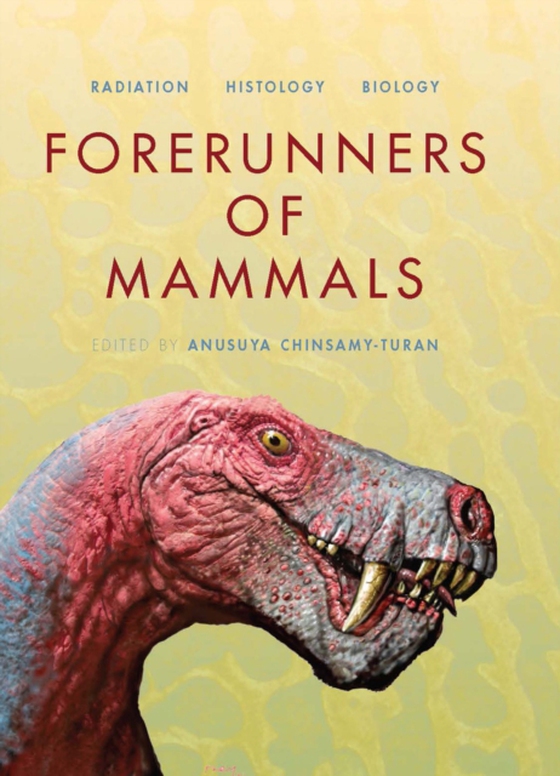 Forerunners of Mammals (e-bog) af -