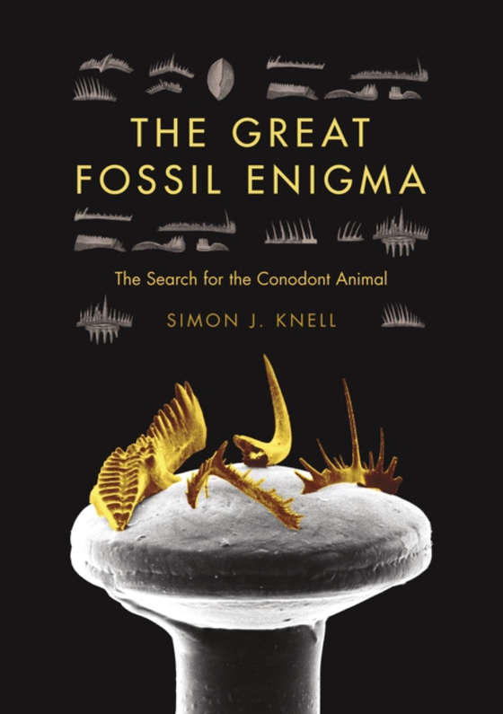 Great Fossil Enigma (e-bog) af Knell, Simon J.