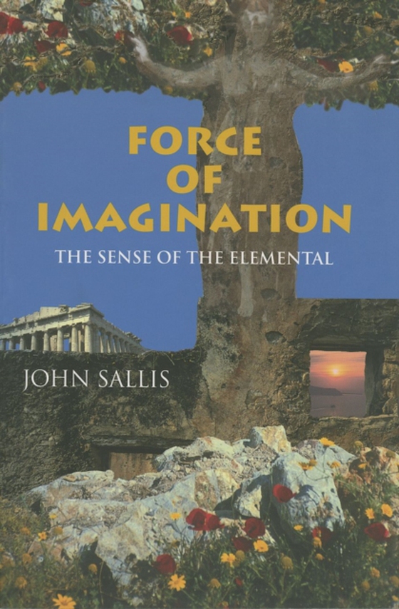 Force of Imagination (e-bog) af Sallis, John