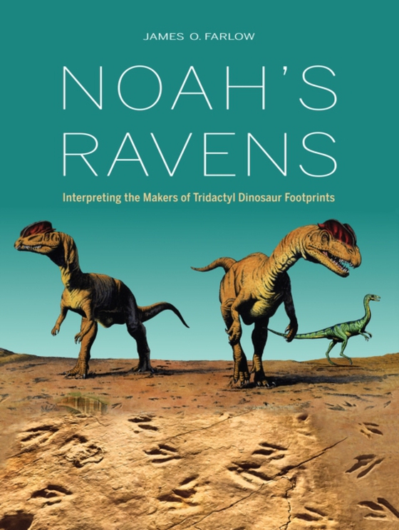 Noah's Ravens