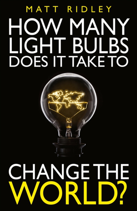 How Many Light Bulbs Does It Take to Change the World? (e-bog) af Davies, Stephen