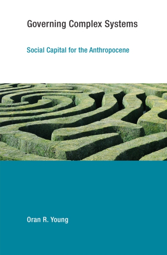 Governing Complex Systems (e-bog) af Young, Oran R.