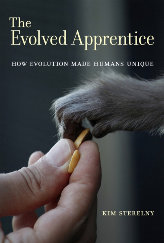 Evolved Apprentice (e-bog) af Sterelny, Kim