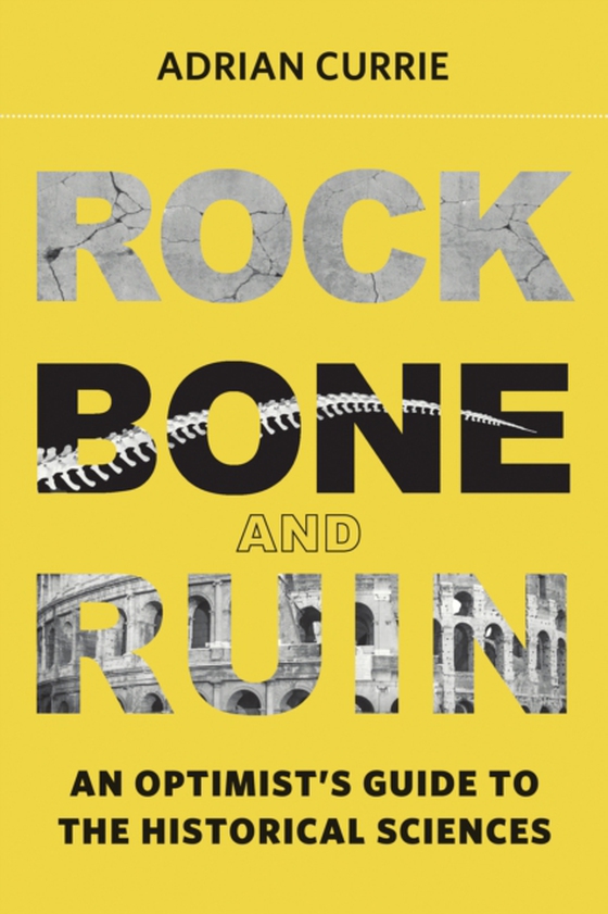 Rock, Bone, and Ruin (e-bog) af Currie, Adrian