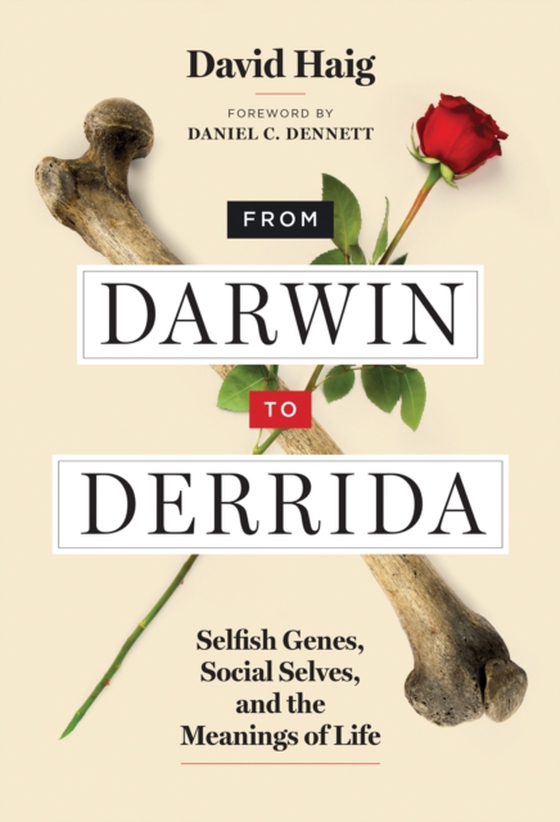 From Darwin to Derrida (e-bog) af Haig, David