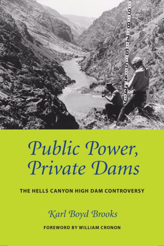 Public Power, Private Dams (e-bog) af Brooks, Karl Boyd