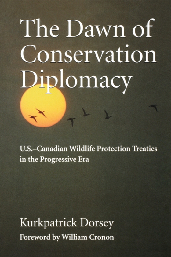 Dawn of Conservation Diplomacy (e-bog) af Dorsey, Kurkpatrick