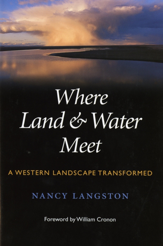 Where Land and Water Meet (e-bog) af Langston, Nancy