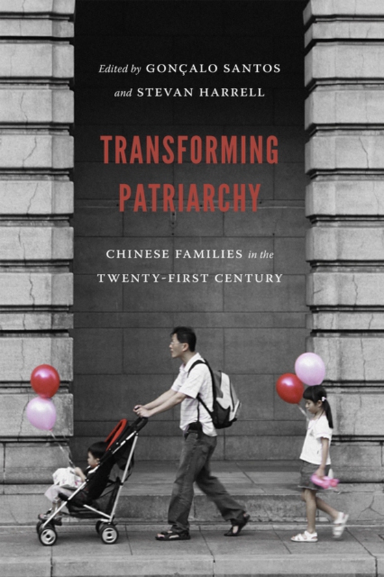 Transforming Patriarchy (e-bog) af -