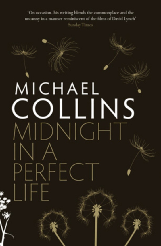 Midnight in a Perfect Life (e-bog) af Collins, Michael