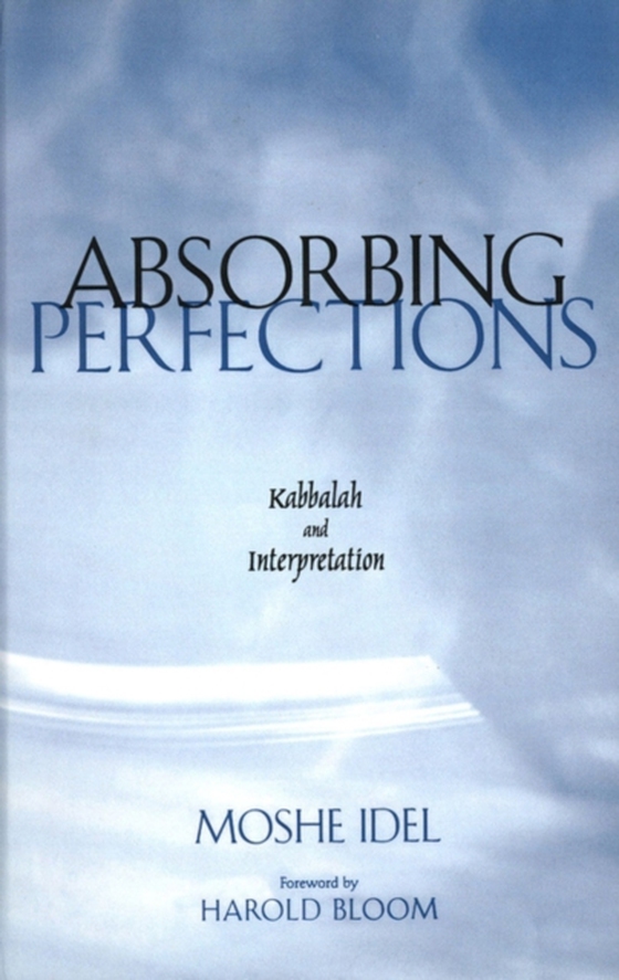 Absorbing Perfections (e-bog) af Moshe Idel, Idel