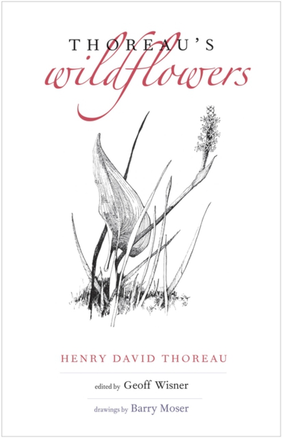 Thoreau&#39;s Wildflowers (e-bog) af Henry David Thoreau, Thoreau