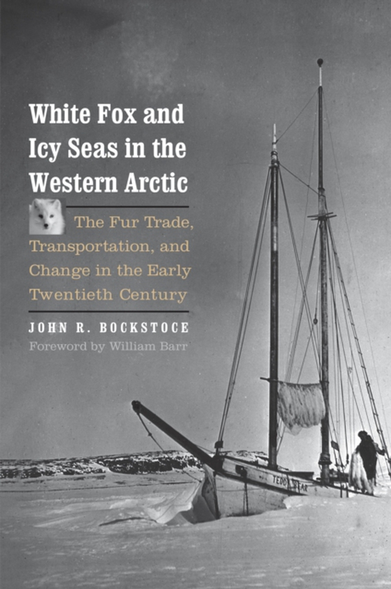 White Fox and Icy Seas in the Western Arctic