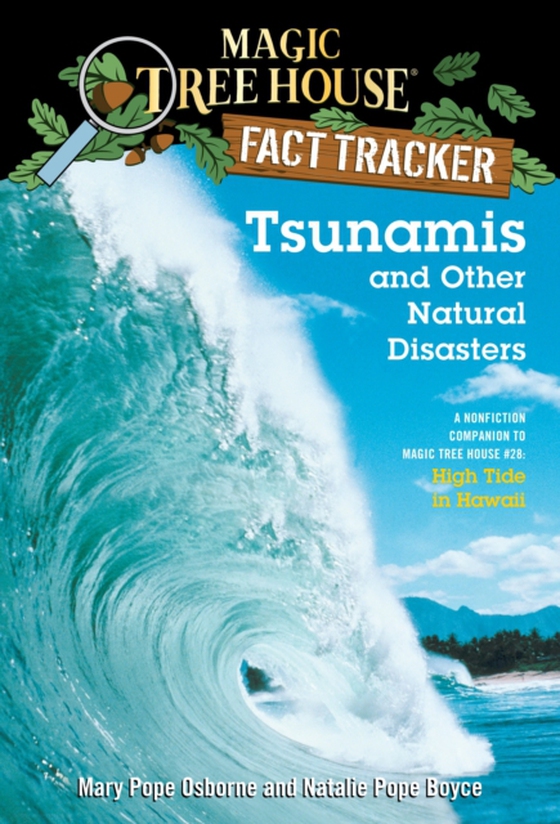 Tsunamis and Other Natural Disasters (e-bog) af Boyce, Natalie Pope