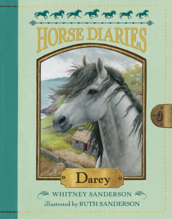 Horse Diaries #10: Darcy (e-bog) af Sanderson, Whitney