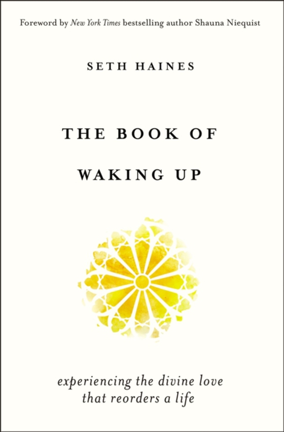 Book of Waking Up (e-bog) af Haines, Seth