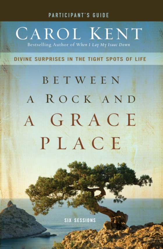 Between a Rock and a Grace Place Bible Study Participant's Guide (e-bog) af Kent, Carol