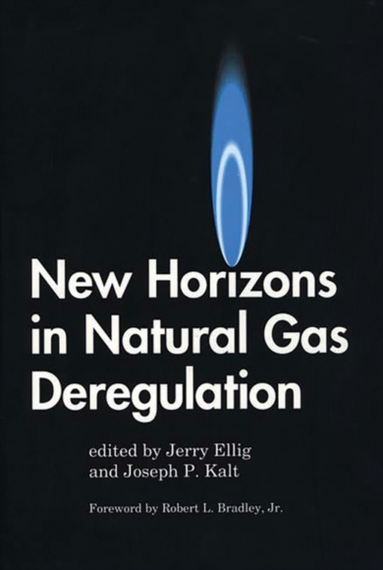 New Horizons in Natural Gas Deregulation (e-bog) af Joseph P. Kalt, Kalt