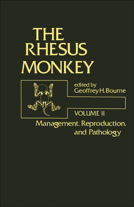 Rhesus Monkey