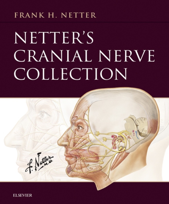 Netter's Cranial Nerve Collection E-Book (e-bog) af Netter, Frank H.