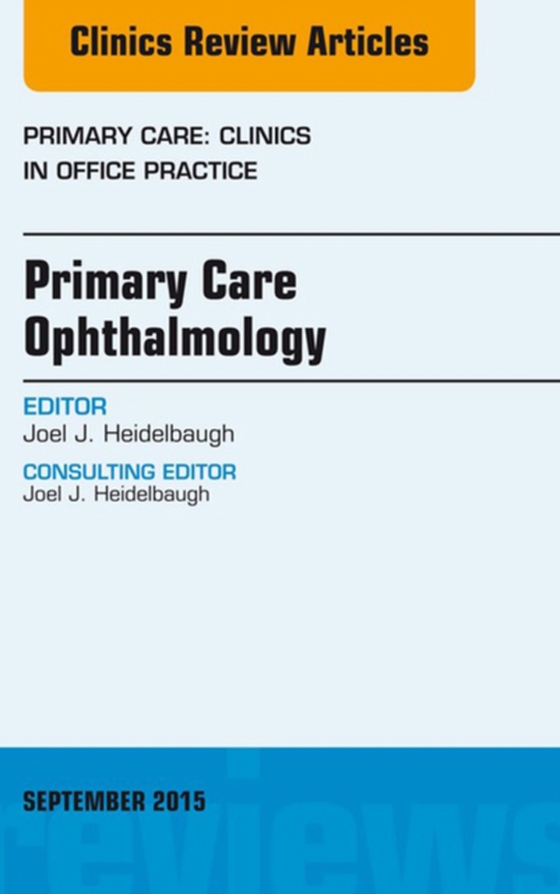 Primary Care Ophthalmology, An Issue of Primary Care: Clinics in Office Practice 42-3 (e-bog) af Heidelbaugh, Joel J.