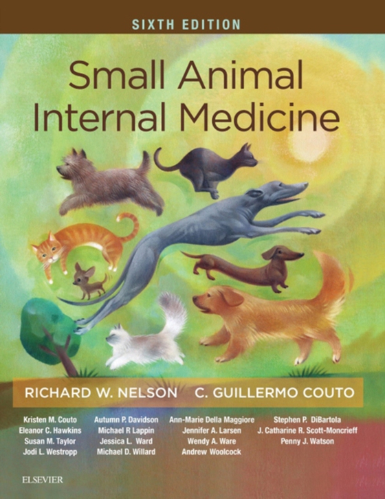 Small Animal Internal Medicine - E-Book (e-bog) af Couto, C. Guillermo