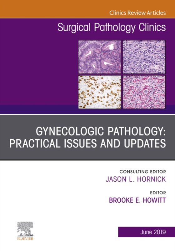 Gynecologic Pathology: Practical Issues and Updates, An Issue of Surgical Pathology Clinics (e-bog) af Howitt, Brooke E.