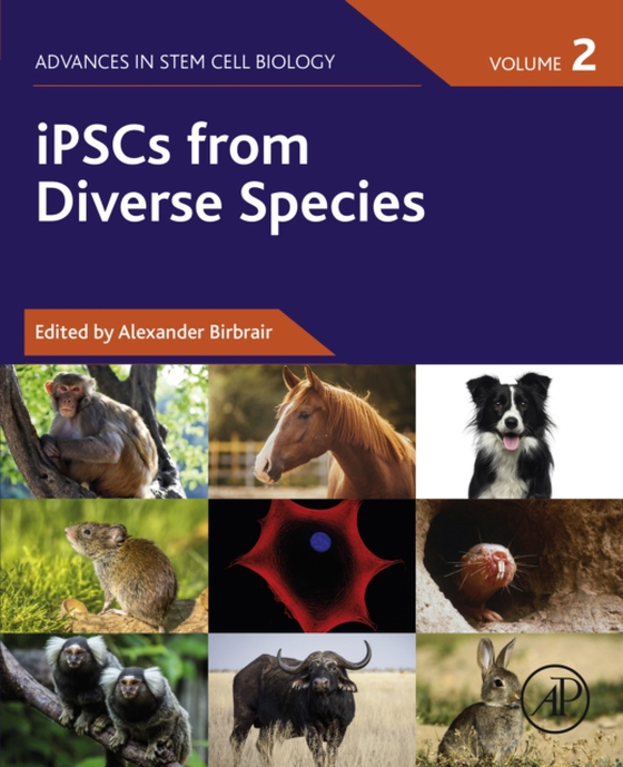 iPSCs from Diverse Species (e-bog) af -