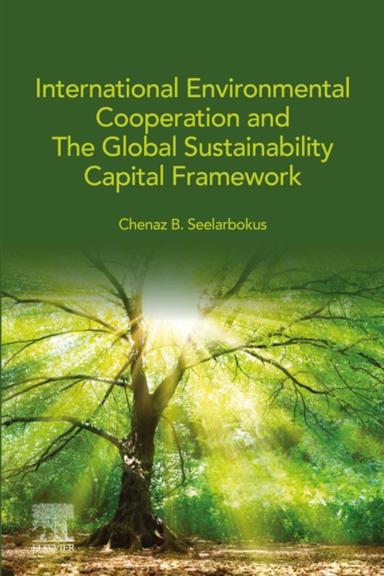 International Environmental Cooperation and The Global Sustainability Capital Framework (e-bog) af Seelarbokus, Chenaz B.