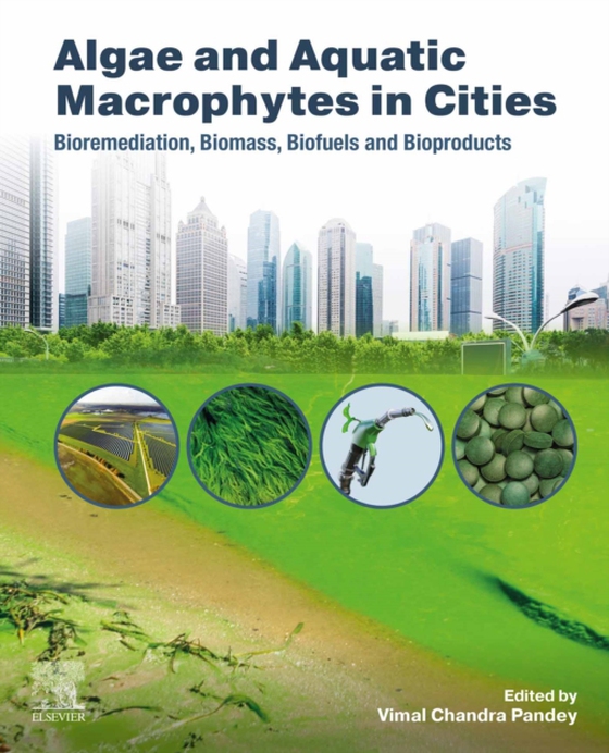 Algae and Aquatic Macrophytes in Cities (e-bog) af -