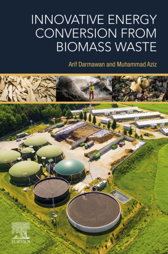 Innovative Energy Conversion from Biomass Waste (e-bog) af -