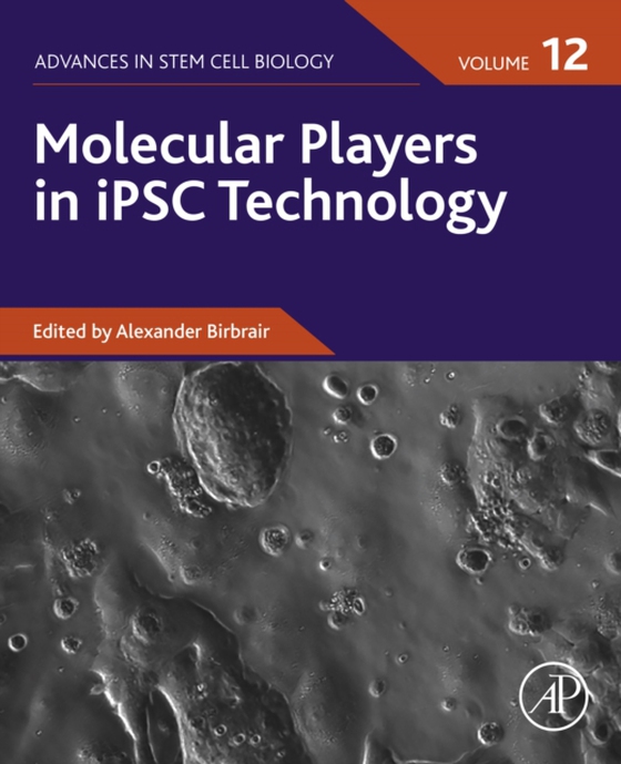 Molecular Players in iPSC Technology (e-bog) af -