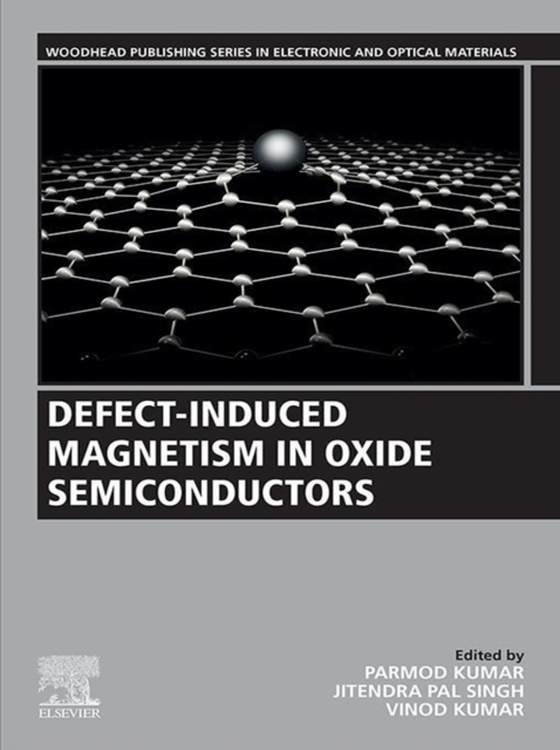 Defect-Induced Magnetism in Oxide Semiconductors (e-bog) af -