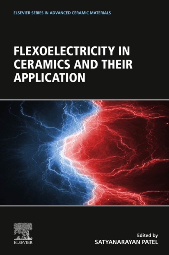 Flexoelectricity in Ceramics and their Application (e-bog) af -